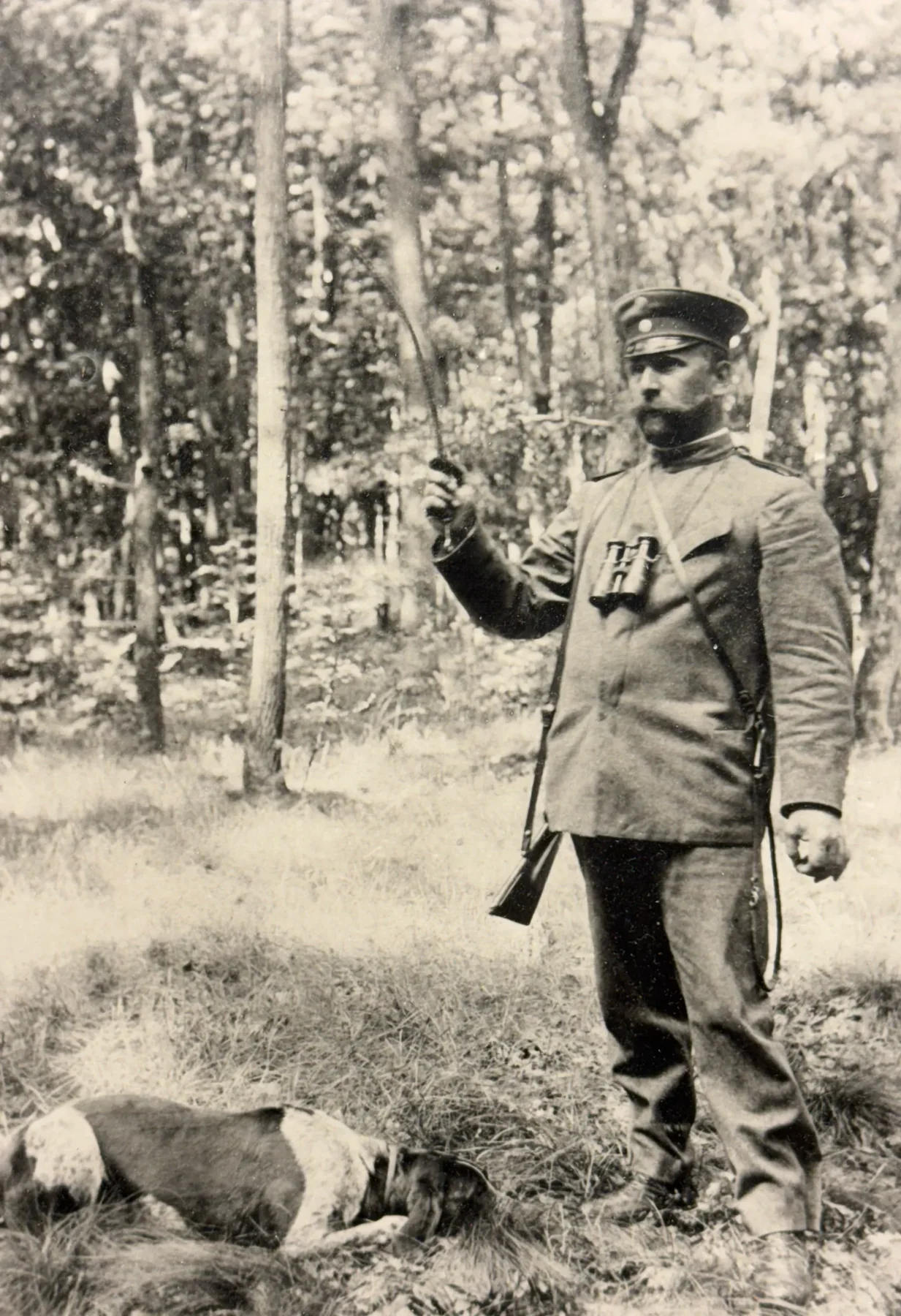 Founder Hch. Werner XII with hunting dog