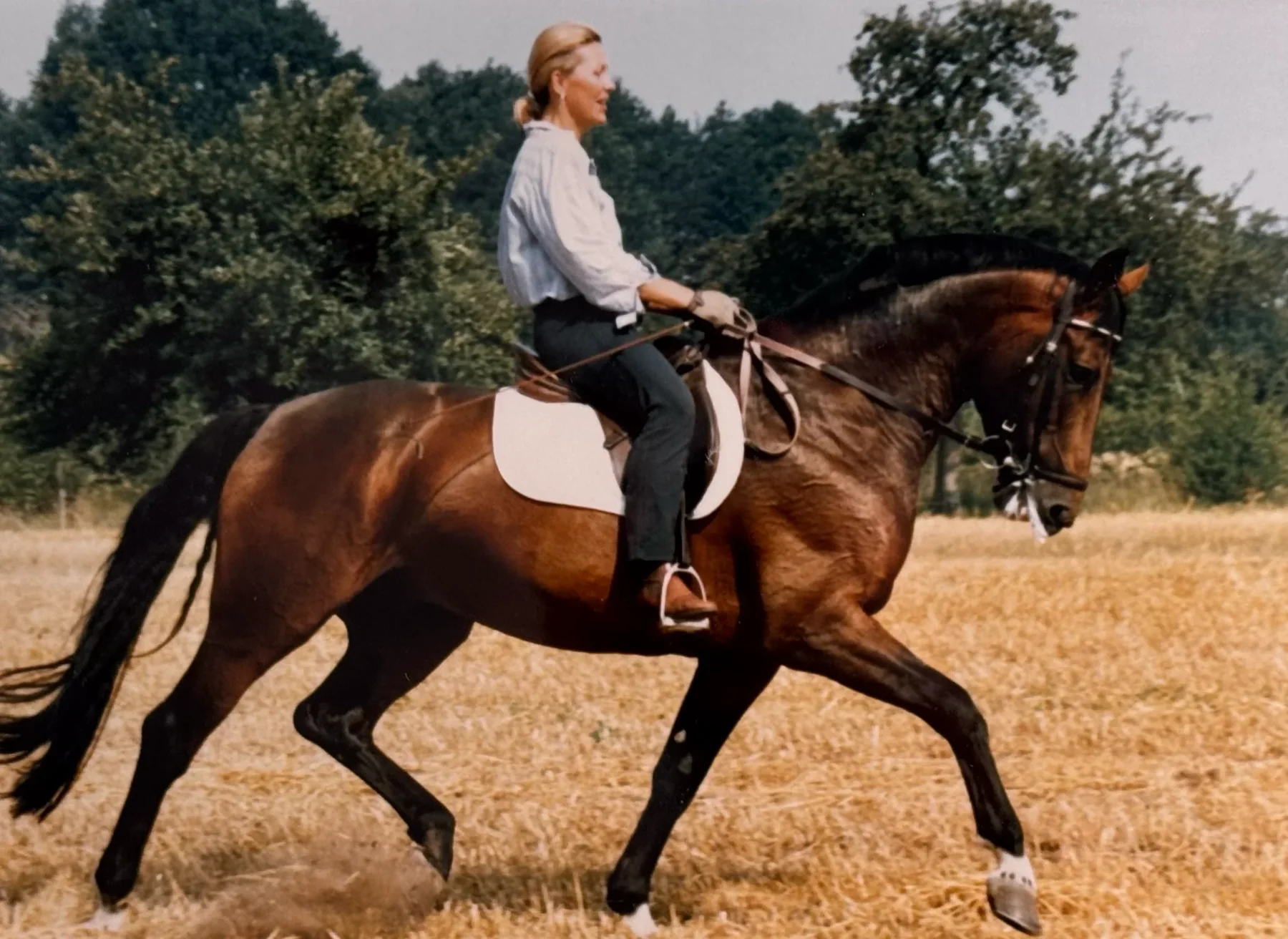 Monika Roth riding across open meadows